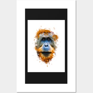 Orangutan monkey Posters and Art